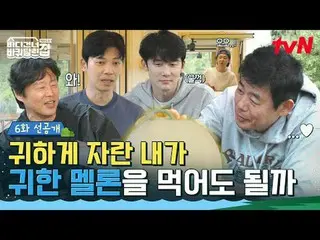 在Tving 上觀看：

 《房車橫渡大海：北海道》
 ✔ [週日] 晚上7:40 播出

#tvN #HouseOnWheelsAcrossTheOceanH