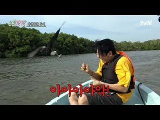 在Tving 上觀看：

 #KongKongPangPang #Lee、GwangSu_ #KimWooBin_ #DoKyungSoo
 Kong Kong