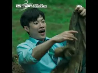 「在一個正義蕩然無存的社會裡，一個電話就足以解決問題。」 這是一部講述神秘出租車公司「彩虹運輸」和出租車司機金道基為遭受不公正待遇的受害者伸張正義的私人復仇劇。