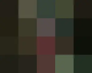 「在一個正義蕩然無存的社會裡，一個電話就足以解決問題。」 這是一部講述神秘出租車公司「彩虹運輸」和出租車司機金道基為遭受不公正待遇的受害者伸張正義的私人復仇劇。