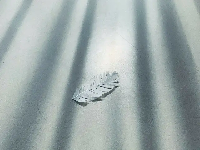 【t公式】（G）I-DL E，🤭🤍🤍🤍 快來了-！