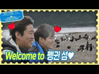 【公式jte】♡西格爾·吉鳳♡安在宏（O Jae-hong）xOng Seong Woo_（Ong Seong-wu）嘲笑可愛的企鵝Traveler Argen