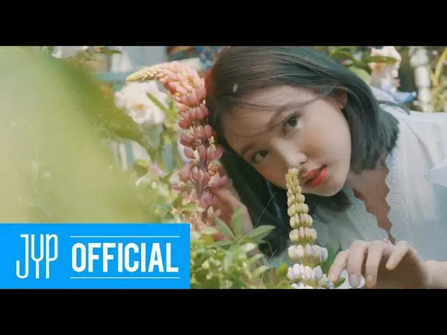 【jt公式】TWICE，RT JYPETWICE：TWICE（TWICE）“ MORE＆MORE”概念電影院兩次第九屆迷你專輯越來越多 2020.06.01 .