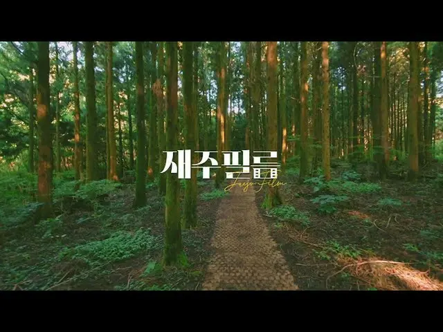 【D公式yg】我自己有點害怕，但我想再次在Samdasoo Forest Trail散步| SAMDASOO森林小徑電影 #SECHSKIES <真實電影> |