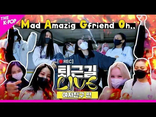 【公式sbp】[下班回家的路上LIVE] MAGO Falling GFRIEND_（GFRIEND_ _）下班回家的路上  