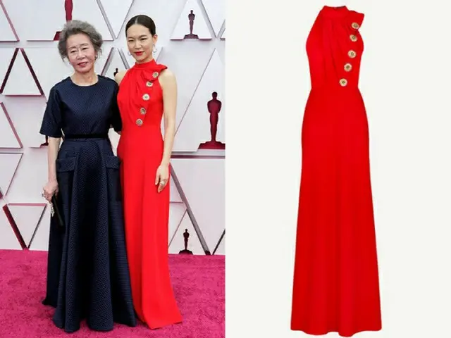 Actress Han Ye-ri wore a dress at the ”Academy Awards”, and for some reason, wasmet with opinions su