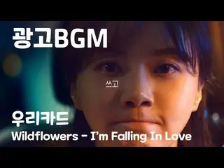【韓國CM1】廣告BGM-友利卡片“野花-我墜入愛河”重複1小時  