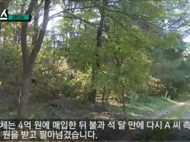 泰妍(SNSD) 因11 億韓元欺詐而受害的陸地新聞畫面