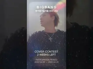 【官方】BIGBANG、BIGBANG - 'Spring Summer Fall Winter (Still Life)' COVER CONTEST D-1