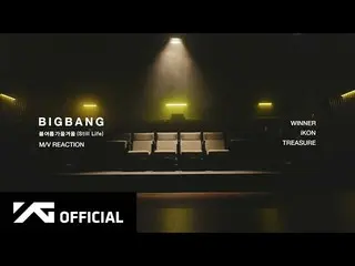 【官方】BIGBANG、BIGBANG - 'Spring Summer Fall Winter (Still Life)' M/V REACTION  