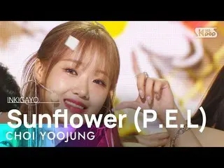 Official sb1】CHOI YOOJUNG(Choi Yoojung) - Sunflower (PEL) INKIGAYO_inkigayo 2022