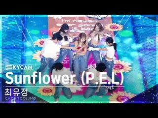 【Official sb1】[Aerial Cam 4K] Yoojung Choi 'Sunflower (PEL)' (CHOI YOOJUNG Sky C