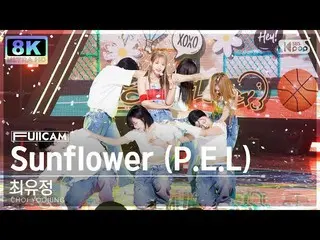 【官方sb1】[SUPER ULTRA 8K] Yoojung Choi 'Sunflower (PEL)' FullCam (CHOI YOOJUNG Ful