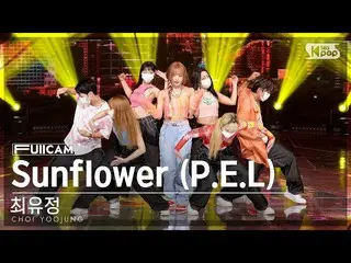 【官方sb1】[Home Room 1 Full Cam 4K] Yoojung Choi 'Sunflower (PEL)' (CHOI YOOJUNG Fu