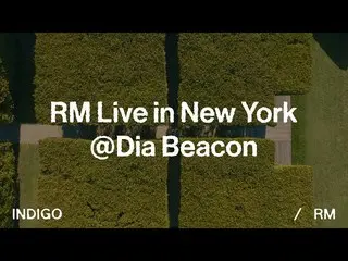 [官方] 防彈少年團、RM 紐約直播@DIA Beacon  