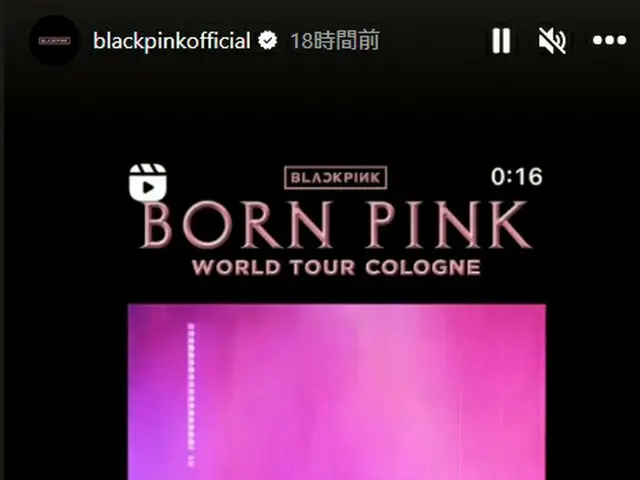 法國總統馬克龍的夫人布麗吉特，“BLACKPINK”世界巡迴演唱會“BORN PINK WORLD TOUR”在巴黎演出場地的目擊信息傳播開來，成為熱門話題