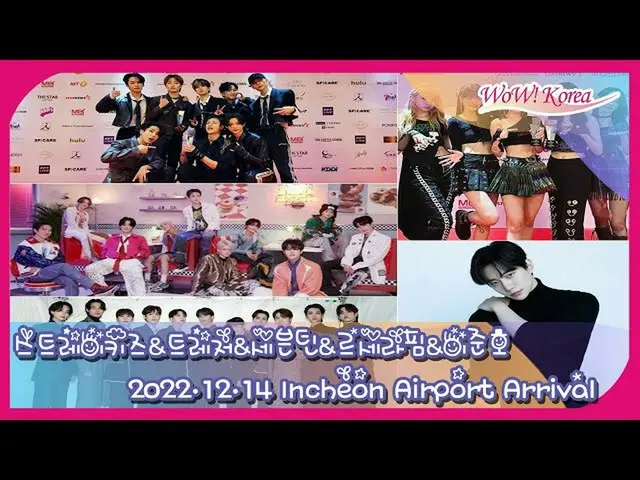 在“2022 年日本亞洲藝術家大獎”之後，K-POP 偶像返回韓國