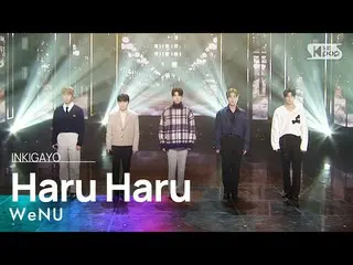 [公式 sb1] WeNU - Haru Haru INKIGAYO_ inkigayo 20230108  