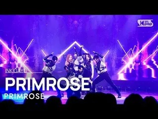 【公式sb1】PRIMROSE_ (프림로즈) - PRIMROSE_ INKIGAYO_ inkigayo 20230115  