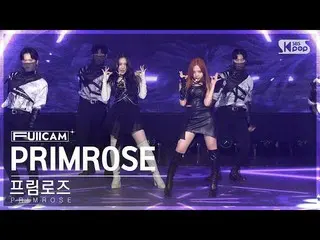 【公式sb1】[家庭房間1排全攝像頭4K]報春花'PRIMROSE_'（PRIMROSE_ FullCam）│@SBS Inkigayo 230115  