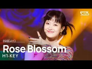 【公式sb1】H1-KEY_ _ (H1-KEY_ ) - Rose Blossom（在建築物之間盛開的玫瑰）INKIGAYO_ inkigayo 202302