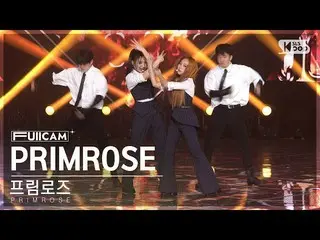 【公式sb1】[家庭房間第一排全攝像頭4K] Primrose 'PRIMROSE_' (PRIMROSE_ FullCam)│@SBS Inkigayo 23