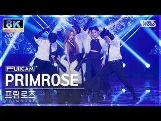 【公式sb1】[SUPER ULTRA 8K] 포림로즈 'PRIMROSE_' 창캠 (PRIMROSE_ FullCam) SBS Inkigayo 230