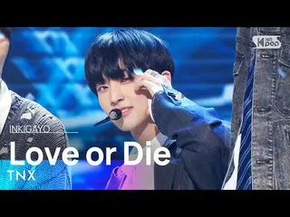 【公式sb1】TNX(해을스) - Love or Die INKIGAYO_ inkigayo 20230226  