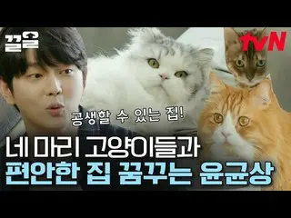 【官方tvn】貓管家之家重生為非常喜歡貓的管家Yun KyunSang_的夢想空間！之前和之後真的很棒......😲 |快速清理  