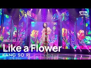 【公式sb1】KANG SO RI(강소리) - Like a Flower(꽃다워) INKIGAYO_ inkigayo 20230319  