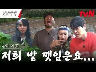 在電視上直播： #KongBean 紅豆#GBRB #Lee、GwangSu_ #Kim WooBin_ #都暻秀#Kim Ki-bang #tvN我種豆子，豆