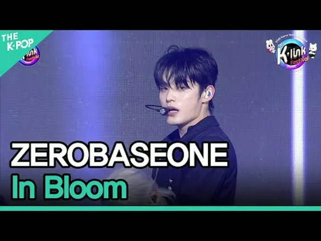 #零基礎一_ _ #In_Bloom #零基礎一_ _ #2023_K_Link_Festival #231210請注意