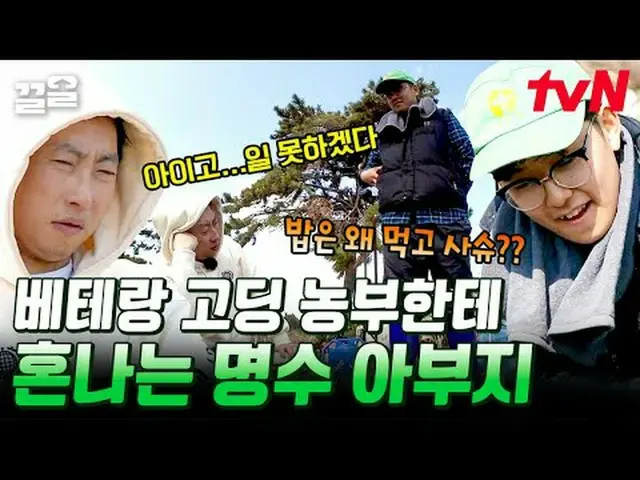 在TVING 上直播： #tvN #放牧之聲3 #Keuol提起tvN的傳奇娛樂節目↗↗ #在電視上直播  