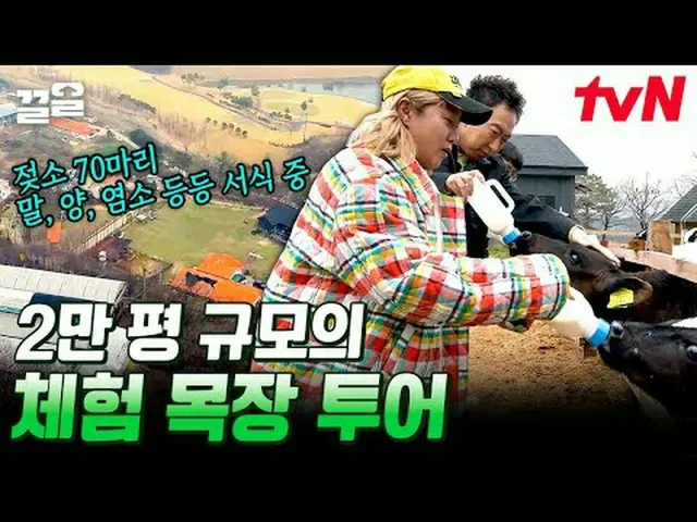 在TVING 上直播： #tvN #放牧之聲3 #Keuol提起tvN的傳奇娛樂節目↗↗ #在電視上直播  