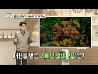 在電視上直播：第142話甜蜜帶來的災難！充滿人性慾望的巧克力〈裸體世界史〉 【週二】tvN 晚上10點10分播出#裸體世界史#Eun Ji Won_ #Kyuh