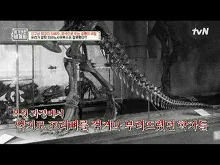 在TVING 上直播：

第151話地球上最強大的統治者，透過化石揭示恐龍的秘密

〈裸體世界史〉
 【週二】tvN 晚上10點10分播出

#裸體世界史#Eu