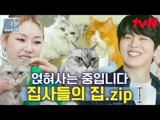 在TVING 上直播：

 #tvN #快速摘要#再見zip
 📂 我做這個是因為我想再次觀看娛樂節目.zip

 00:00 貓管家尹均相_
 18:59 