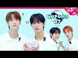 [Gotcha37] TWS_ _最近什麼時候覺得彼此受到傷害？ [Gatcha 37] 最近一次TWS_ 對會員感到失望的時刻是什麼？ TWS_每次Gatch