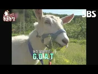 #申東燁#Jeon SoNee（チョン・ソンヒ）_ #Tony An_ #Joy #Goat
 #TV 動物農場#AnimalFarm #Preview

 S