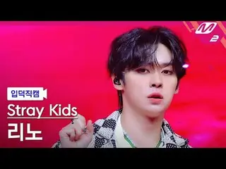 [家庭攝影機] Stray Kids Reno - Jjam
 [Meltin' FanCam] Stray Kids_ _ LEE KNOW_ _ - JJA