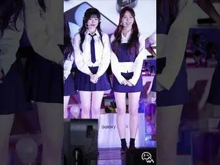 #FIFTYFIFTY #雅典娜#Hana #Fancam
 241105高麗大學民主廣場銀河AI校園參觀直播