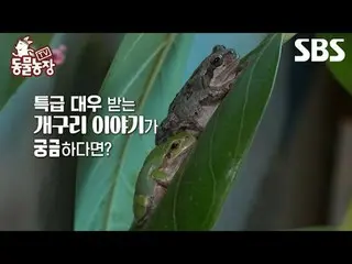 #申東燁#Jeon SoNee（チョン・ソンヒ）_ #Tony An_ #Joy #Frog #Geumsuni #Geumbok
 #TV 動物農場#Anim