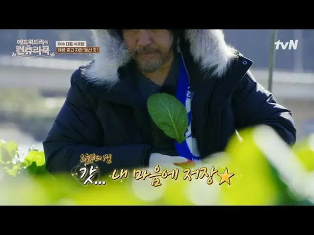 Tiving 上的串流媒體：主廚Edward Lee 深入韓國鄉村，尋找他對烹飪的熱情的根源