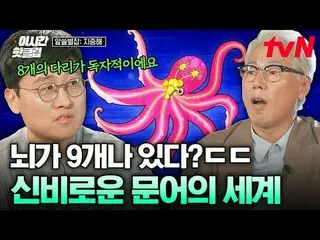 Tiving 上的串流媒體：

 #tvN #Alseulbyeolmagazinemiddlesea
快速觀看YouTube上最近最熱門的影片！ #ThisT