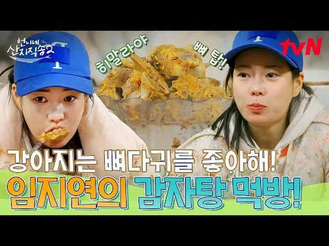 Tiving 上的串流媒體： #Sister'sMountainDirectSong2 #Yum Jung Ah_ #Park Joon Myeon_ #Lim