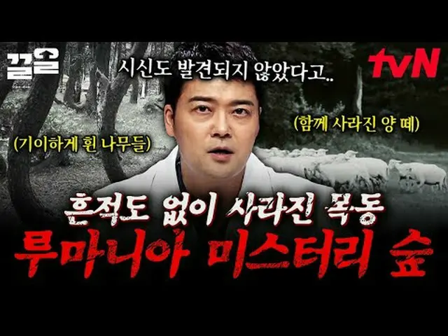 Tiving 上的串流媒體： #tvN #Freehan19 #PullUp tvN傳奇綜藝節目，加油~↗↗免費19 免費19前所未有的Scoop 排名🔍每週