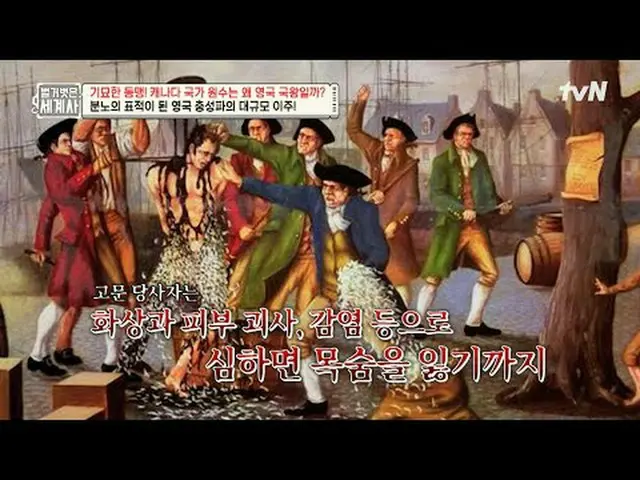 Tiving 上的串流媒體：第205集| 奇怪的聯盟！加拿大的國家元首為何是英國國王？ 《赤裸裸的世界史》 [週二] 晚上10:10 tvN播出#NakedWo