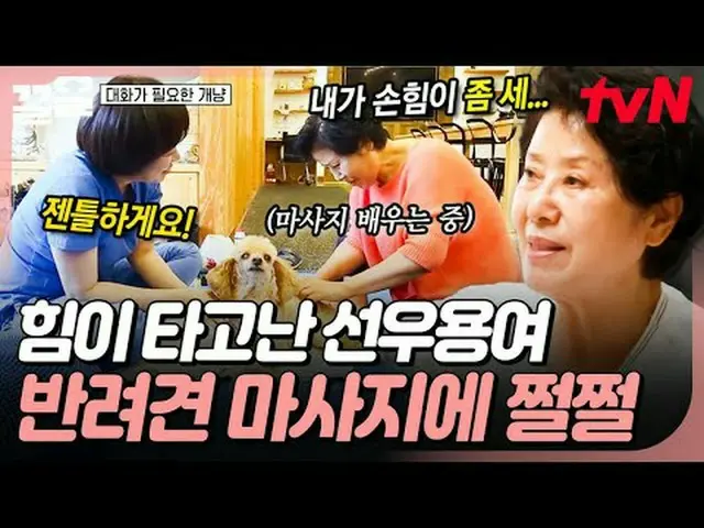 Tiving 上的串流媒體： #tvN #狗和貓需要說話#PullUp tvN傳奇綜藝節目，加油~↗↗ #電視串流媒體  