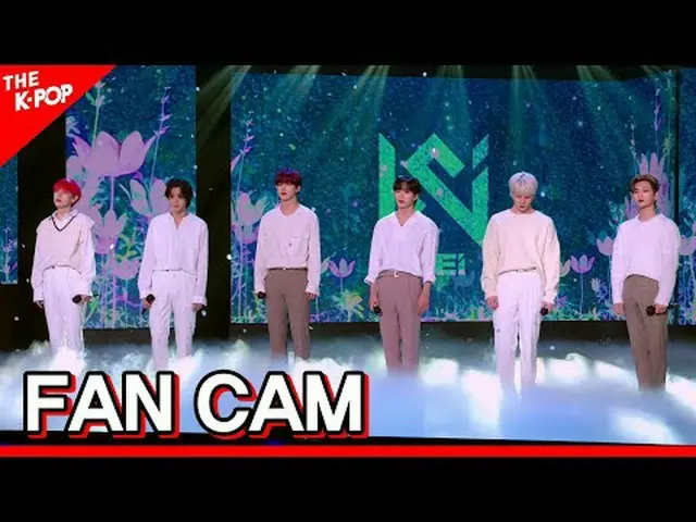 #WEi_、冬天、花#WEi_ _ #冬日之花訂閱該頻道並享受優惠