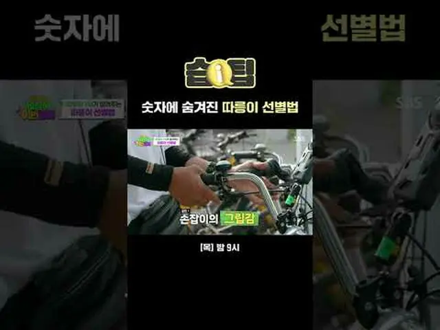 隱藏在數字中的是選擇Ttareungi的方法#Wet Tips #SBS Tips #SBSThursdayVariety #WowThisIsReal #Wh